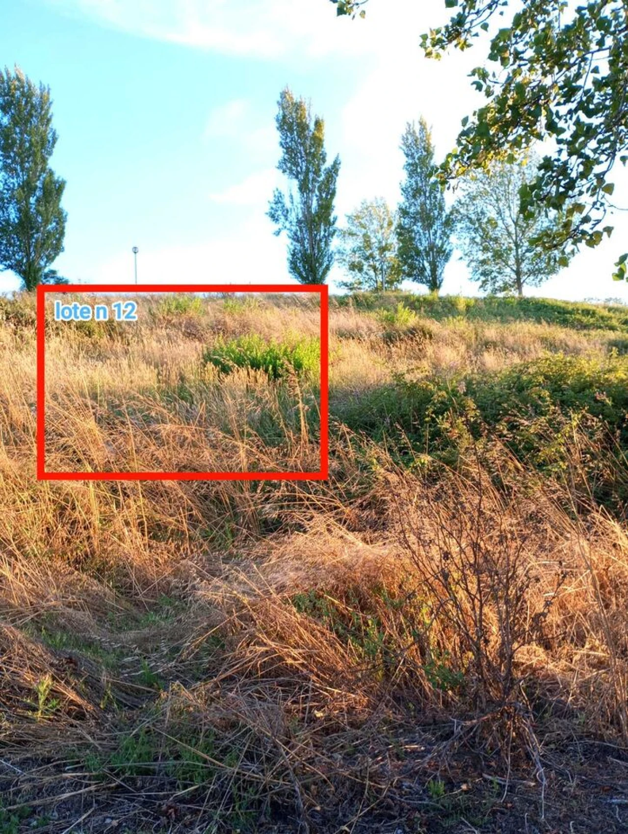 Terreno para Venda em Carvoeira e Carmões Foto 7