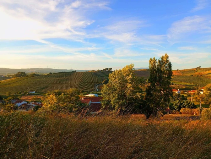 Terreno para Venda em Carvoeira e Carmões Foto 2