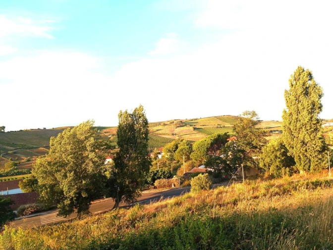 Terreno para Venda em Carvoeira e Carmões Foto 5