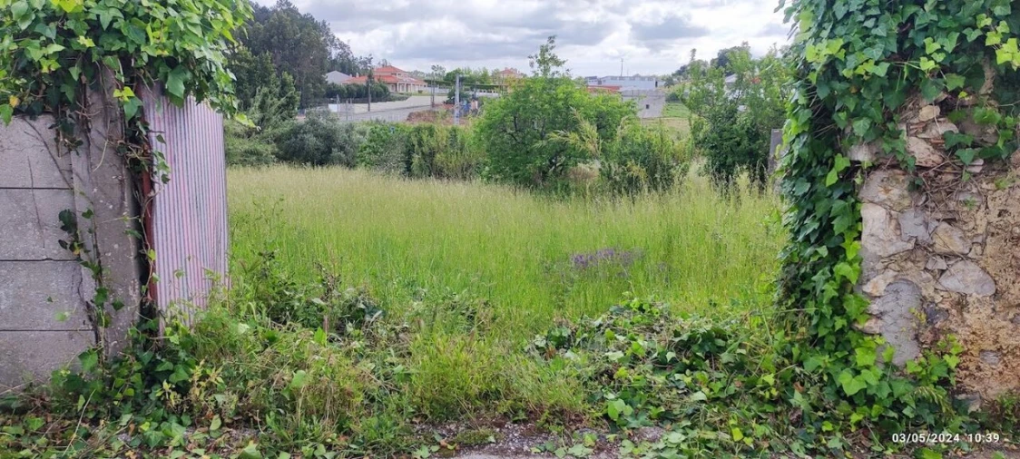 Terreno para Venda em Parceiros e Azoia Foto 8