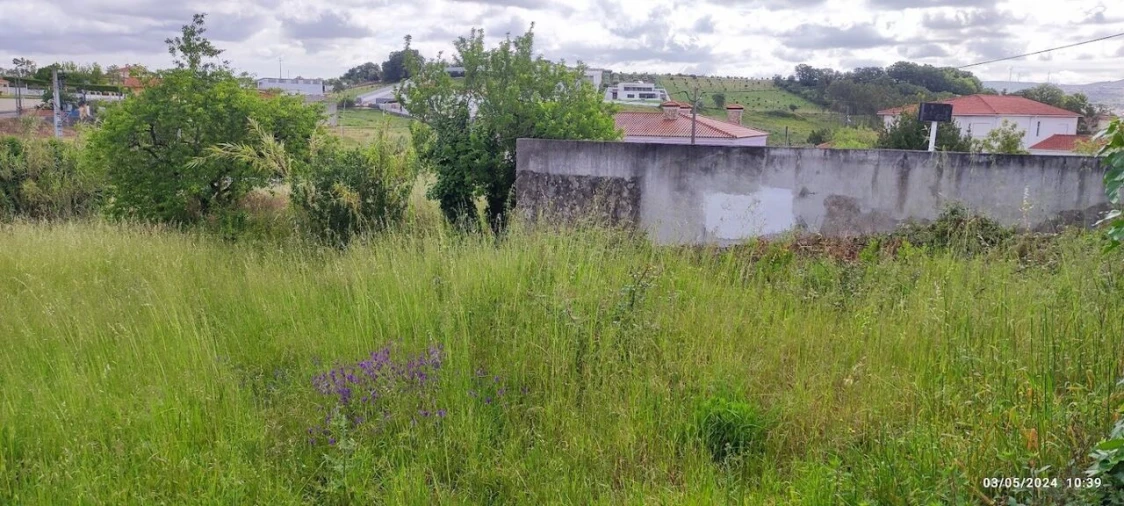 Terreno para Venda em Parceiros e Azoia Foto 9