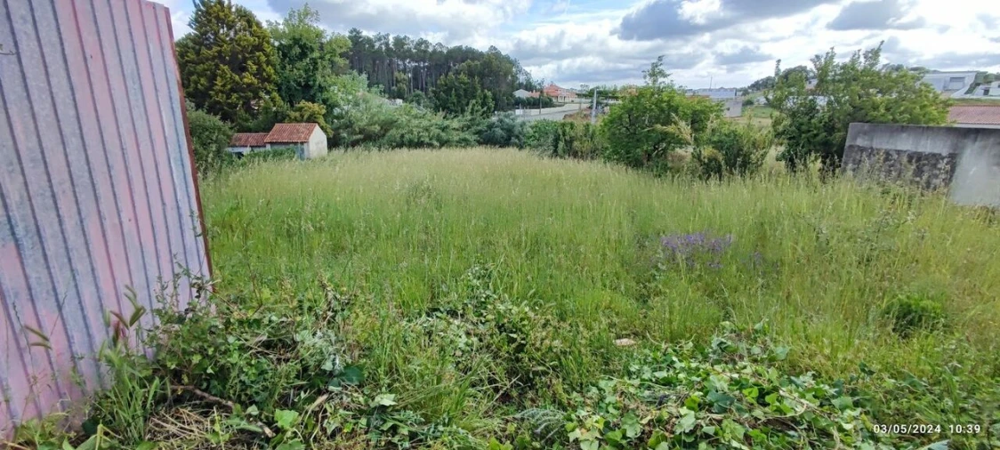 Terreno para Venda em Parceiros e Azoia Foto 10