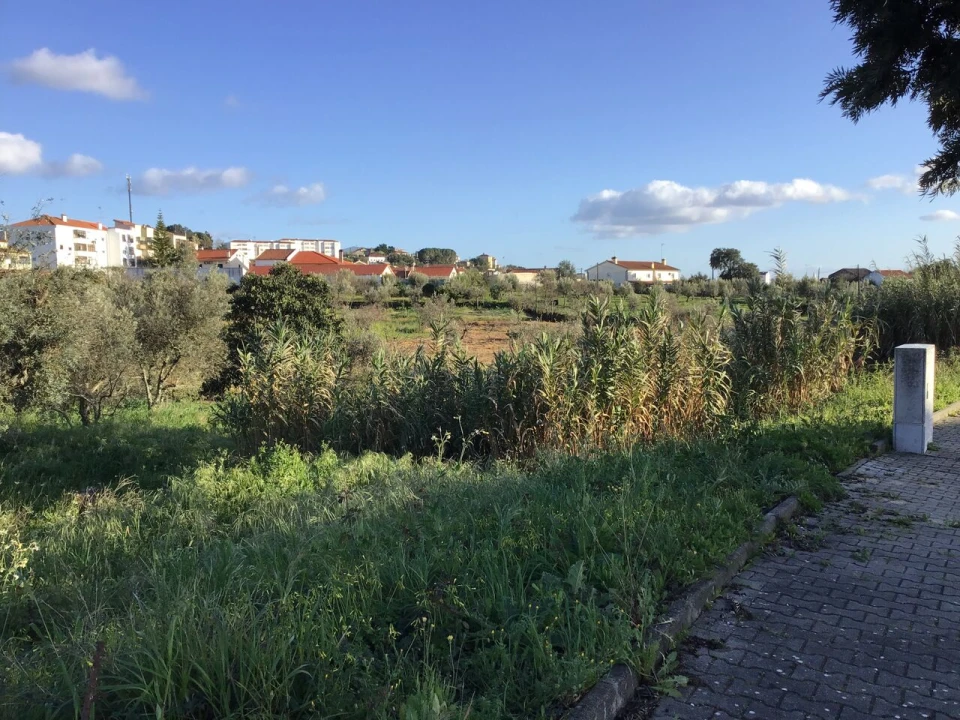 Terreno para Venda em Mação, Penhascoso e Aboboreira Foto 2