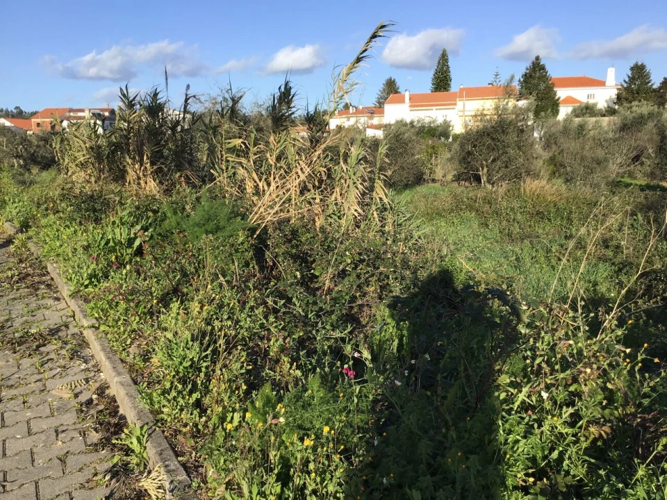 Terreno para Venda em Mação, Penhascoso e Aboboreira Foto 8