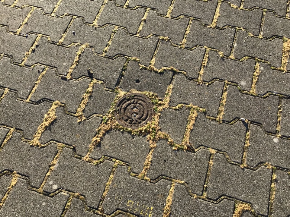 Terreno para Venda em Mação, Penhascoso e Aboboreira Foto 14