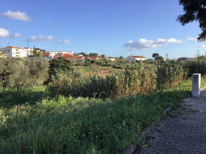 Terreno para Venda em Mação, Penhascoso e Aboboreira Foto 2
