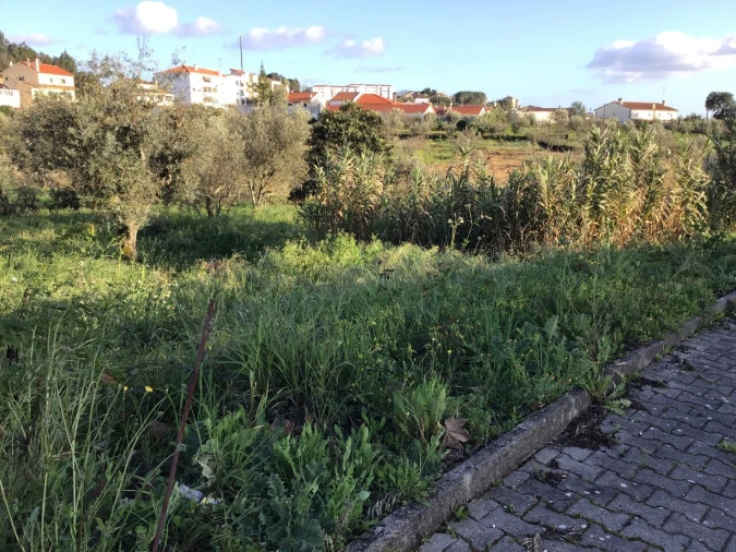 Terreno para Venda em Mação, Penhascoso e Aboboreira Foto 9