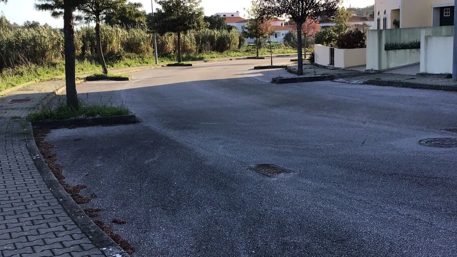 Terreno para Venda em Mação, Penhascoso e Aboboreira