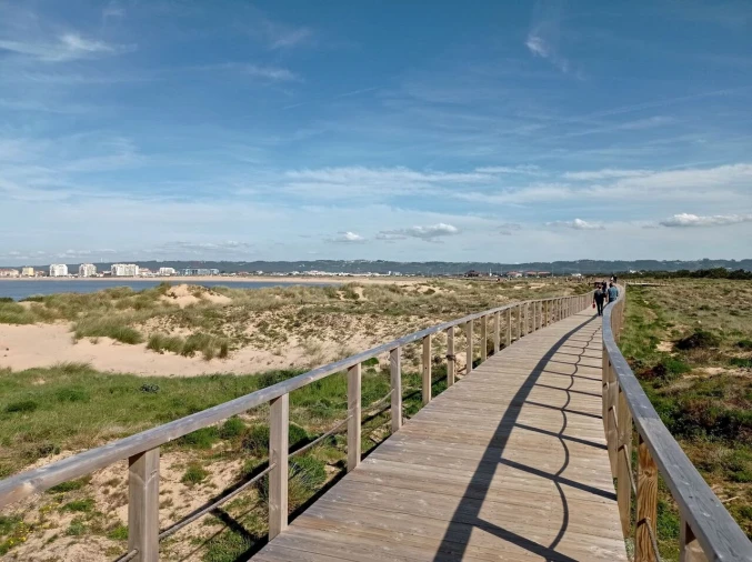 Apartamento T2 para Venda em Tornada e Salir do Porto Foto 25