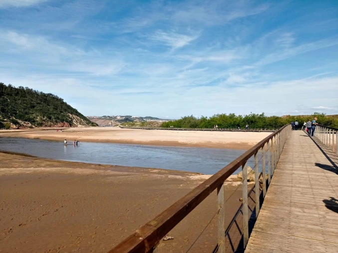 Apartamento T2 para Venda em Tornada e Salir do Porto Foto 26