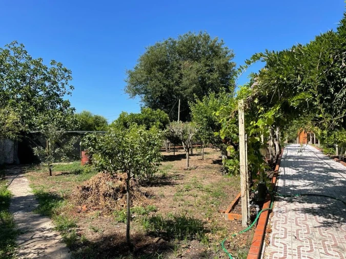 Moradia T5 para Venda em Tamengos, Aguim e Óis do Bairro Foto 18