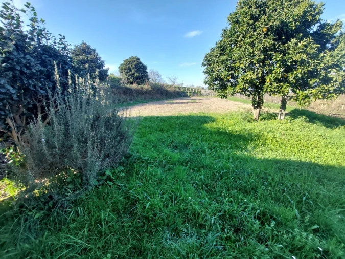 Moradia T2 para Venda em São Julião e Silva Foto 9