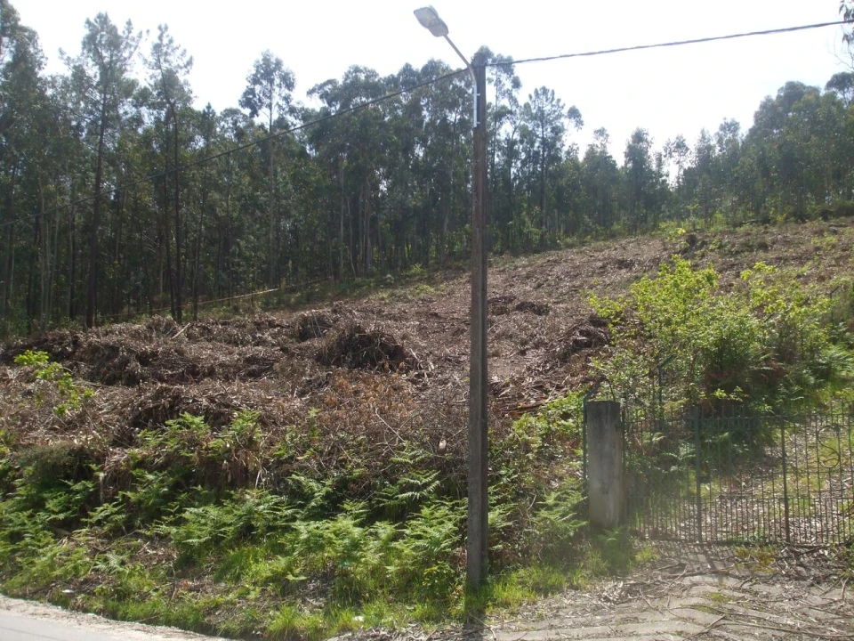 Terreno para Venda em Reboreda e Nogueira Foto 2