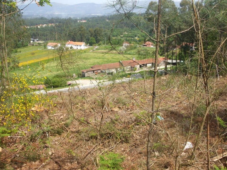 Terreno para Venda em Reboreda e Nogueira Foto 6