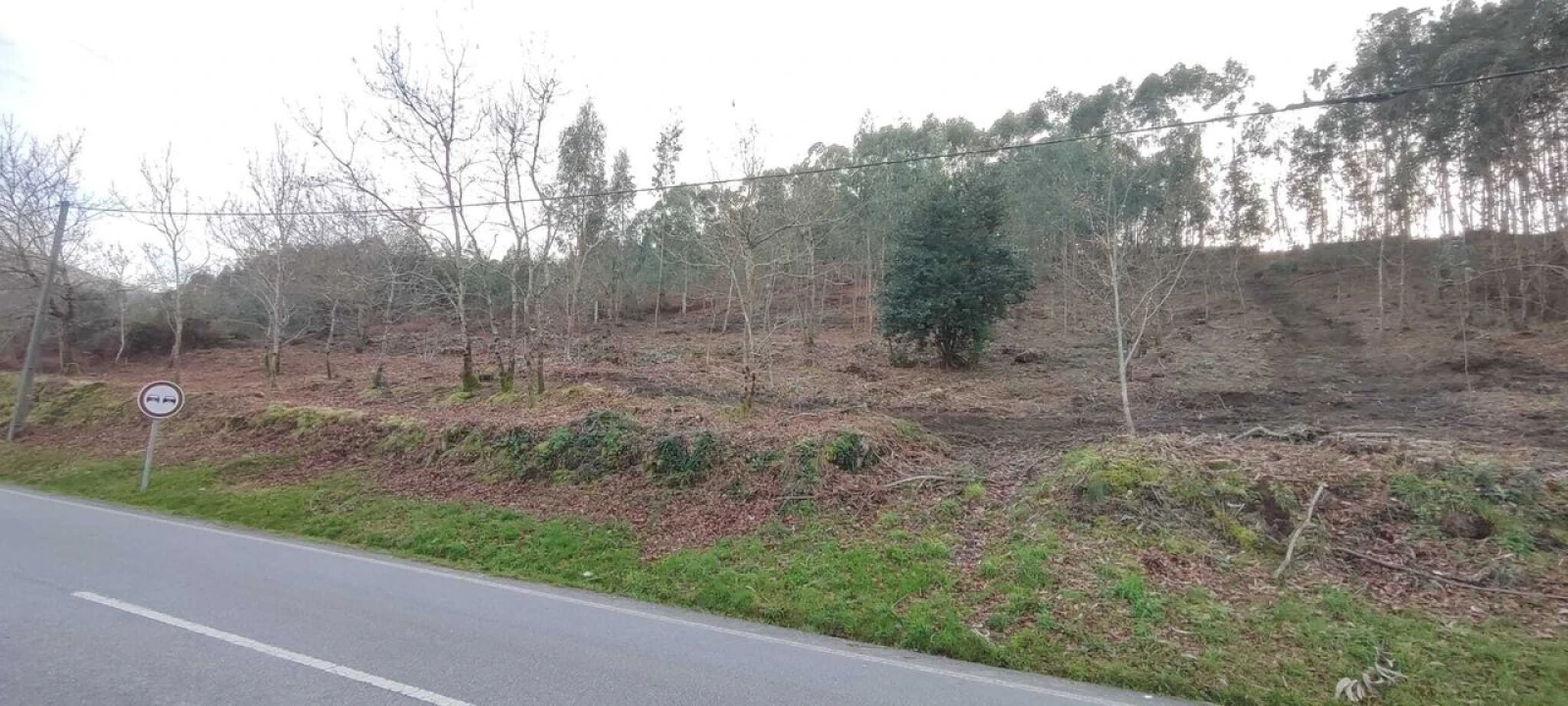 Terreno para Venda em Reboreda e Nogueira Foto 8