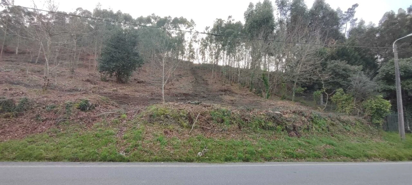 Terreno para Venda em Reboreda e Nogueira Foto 11