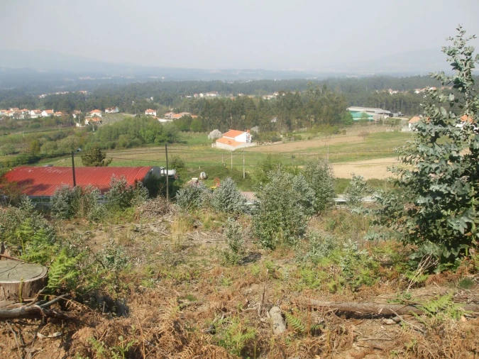 Terreno para Venda em Reboreda e Nogueira Foto 7