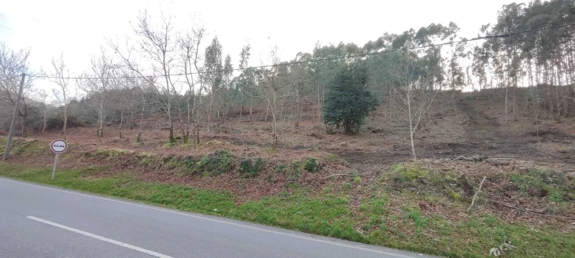 Terreno para Venda em Reboreda e Nogueira Foto 8