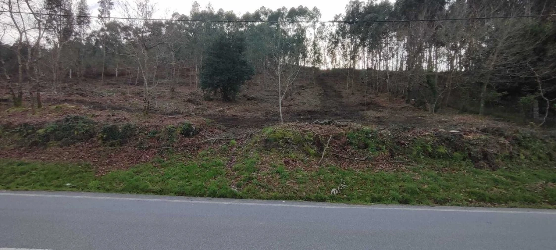 Terreno para Venda em Reboreda e Nogueira Foto 12