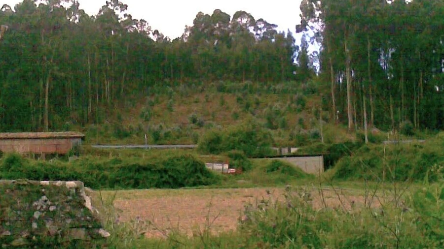 Terreno para Venda em Reboreda e Nogueira