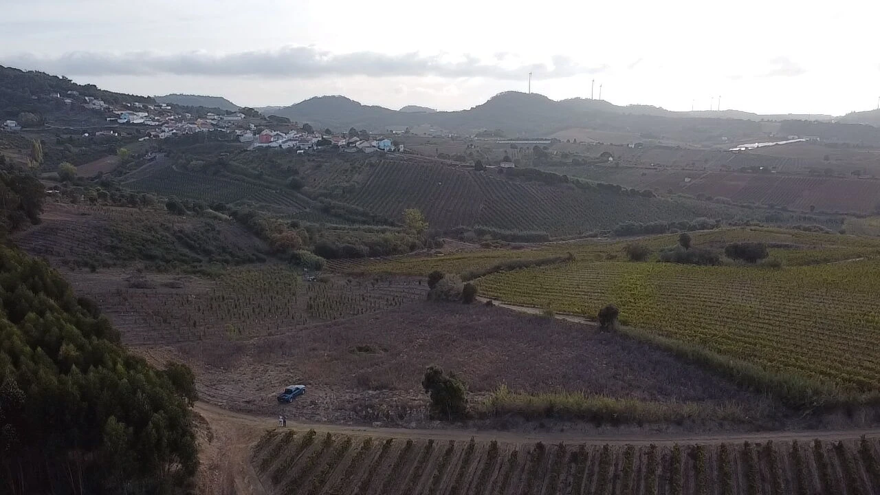 Terreno para Venda em Azueira e Sobral da Abelheira Foto 2