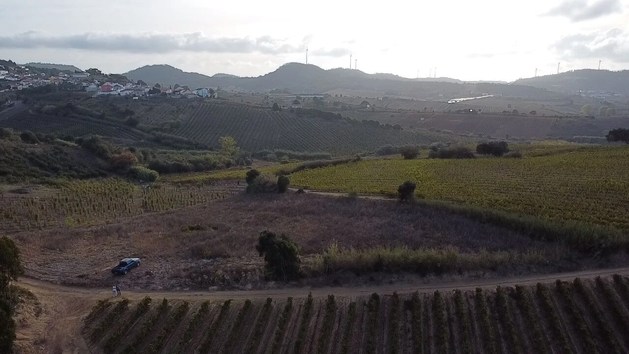 Terreno para Venda em Azueira e Sobral da Abelheira Foto 3