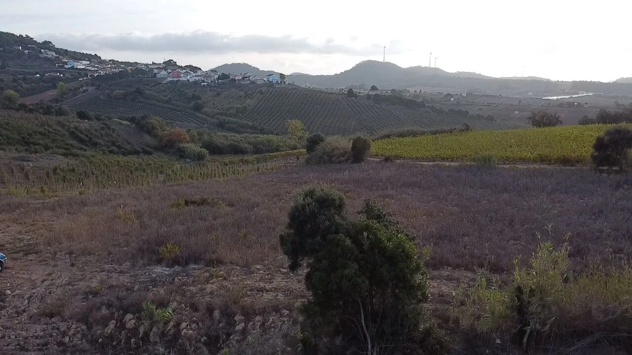 Terreno para Venda em Azueira e Sobral da Abelheira Foto 7