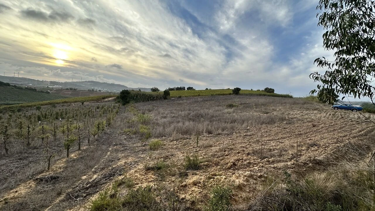 Terreno para Venda em Azueira e Sobral da Abelheira Foto 9