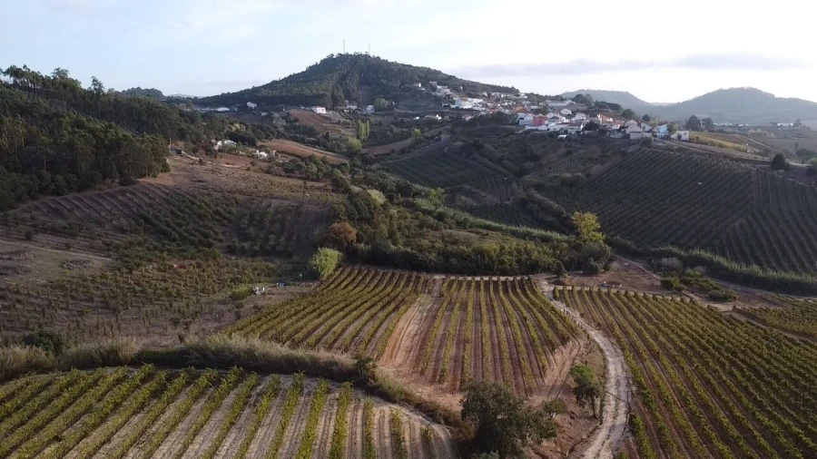 Terreno para Venda em Azueira e Sobral da Abelheira Foto 4