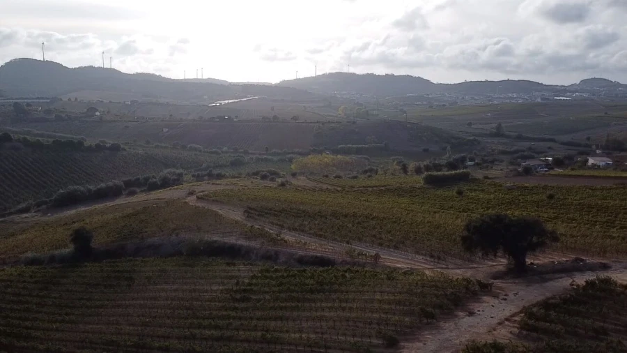Terreno para Venda em Azueira e Sobral da Abelheira Foto 5