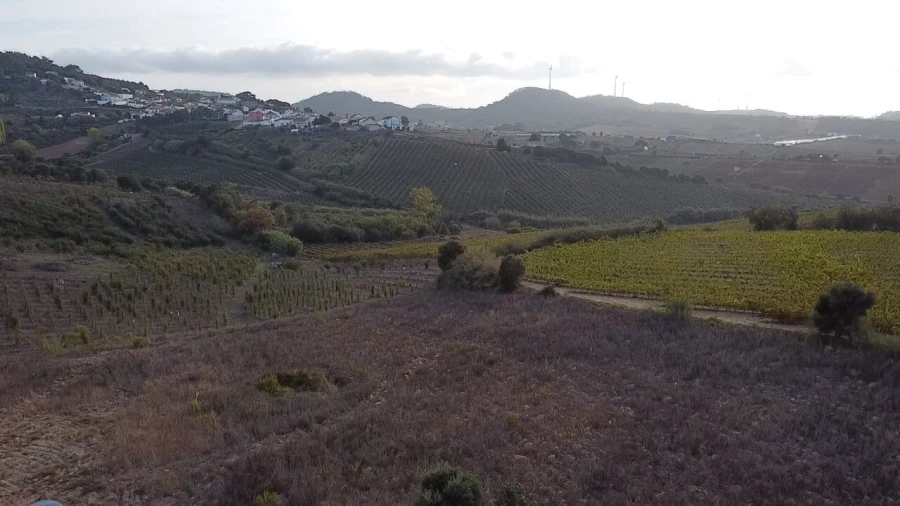 Terreno para Venda em Azueira e Sobral da Abelheira Foto 6