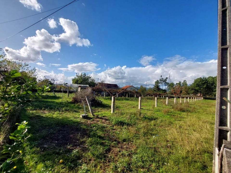 Terreno para Venda em Monção e Troviscoso Foto 1