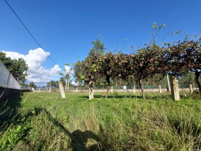 Terreno para Venda em Monção e Troviscoso Foto 4