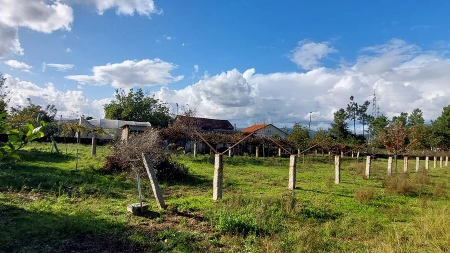 Terreno para Venda em Monção e Troviscoso
