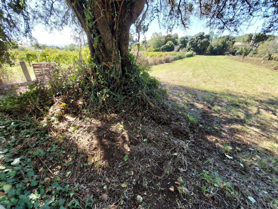 Terreno para Venda em Mazedo e Cortes Foto 1