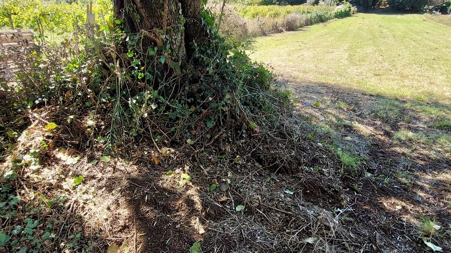 Terreno para Venda em Mazedo e Cortes