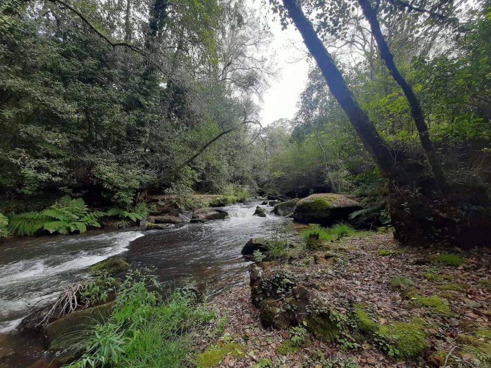 Terreno para Venda em Troporiz e Lapela Foto 2