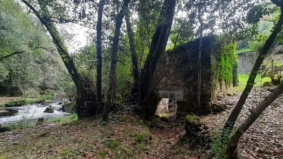 Terreno para Venda em Troporiz e Lapela