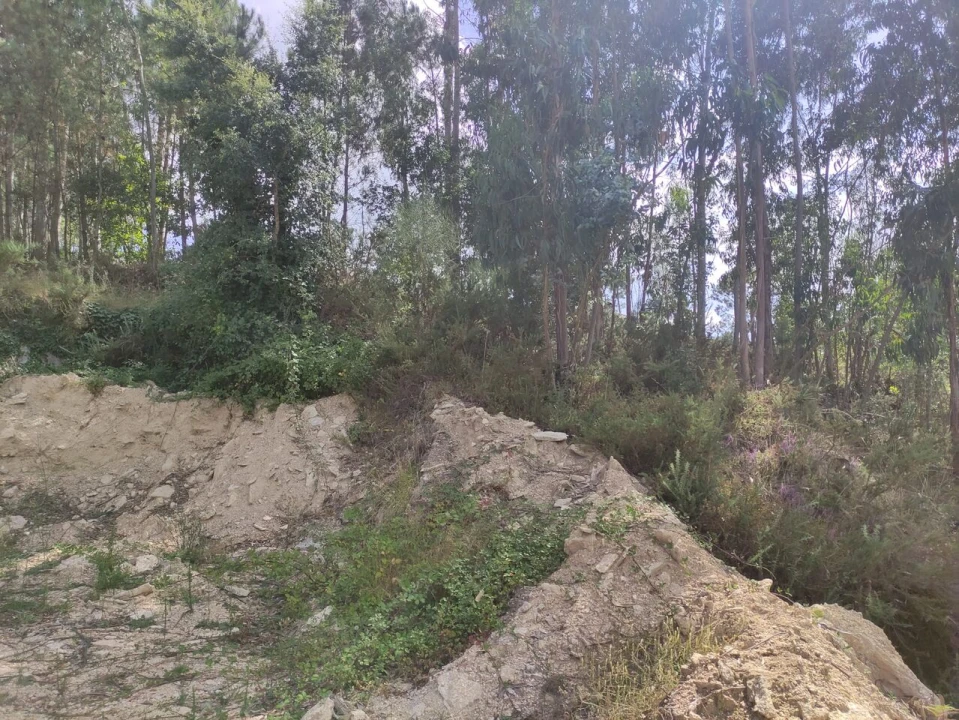 Terreno para Venda em Troporiz e Lapela Foto 2
