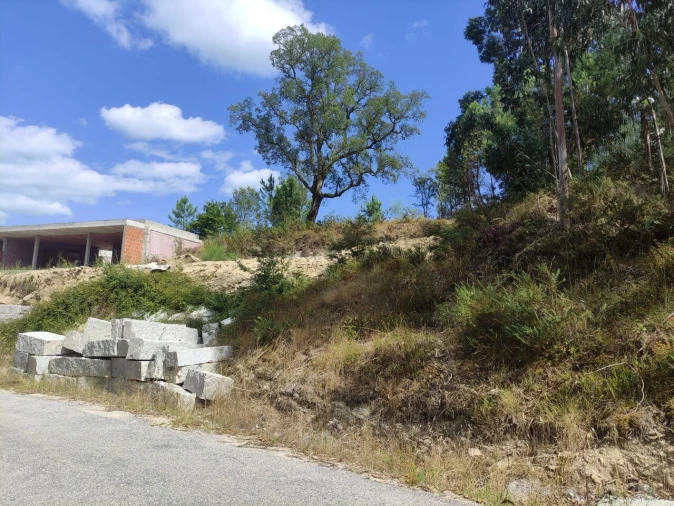 Terreno para Venda em Troporiz e Lapela Foto 1