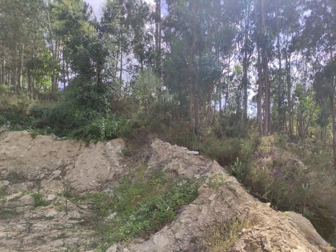 Terreno para Venda em Troporiz e Lapela Foto 2