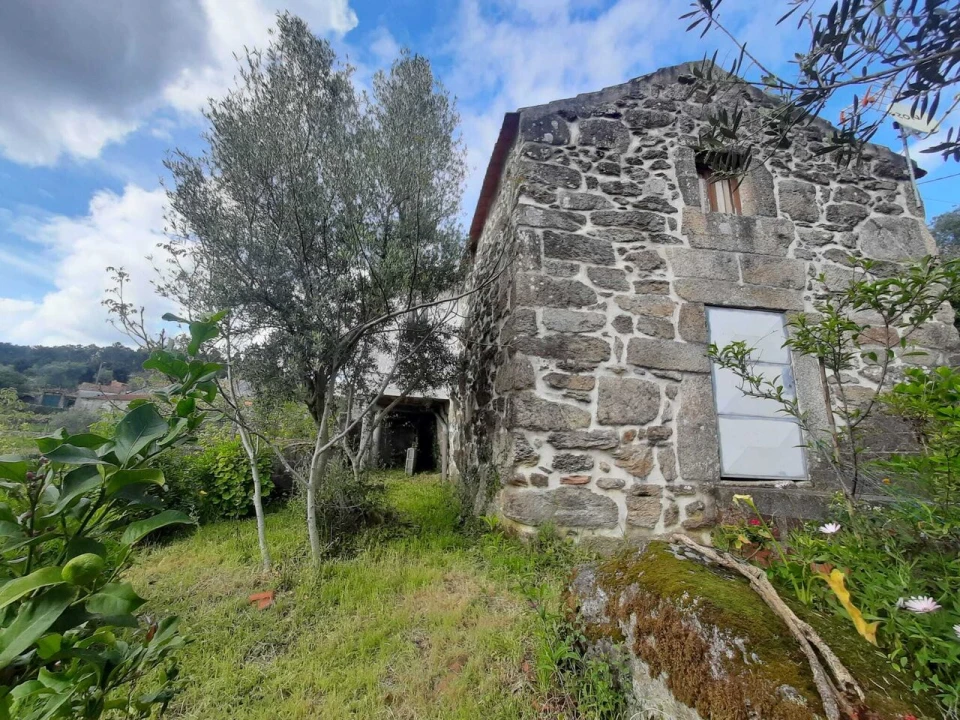 Quinta T7 para Venda em Ceivães e Badim Foto 2