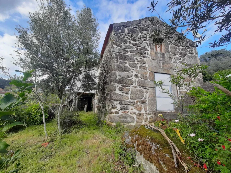 Quinta T7 para Venda em Ceivães e Badim Foto 9