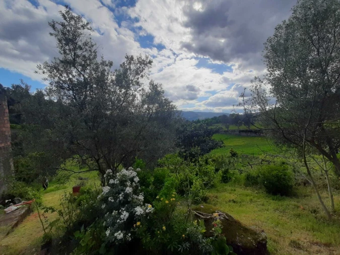 Quinta T7 para Venda em Ceivães e Badim Foto 10