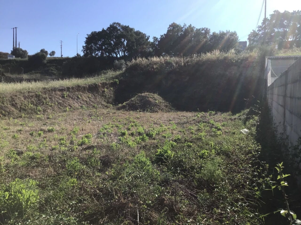 Terreno para Venda em Torres Novas (Santa Maria, Salvador e Santiago) Foto 2