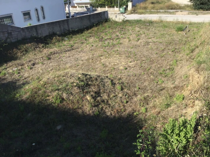Terreno para Venda em Torres Novas (Santa Maria, Salvador e Santiago) Foto 4