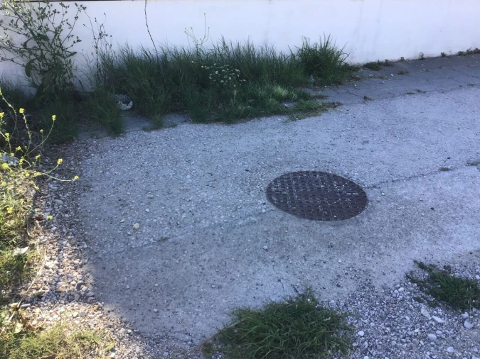 Terreno para Venda em Torres Novas (Santa Maria, Salvador e Santiago) Foto 7