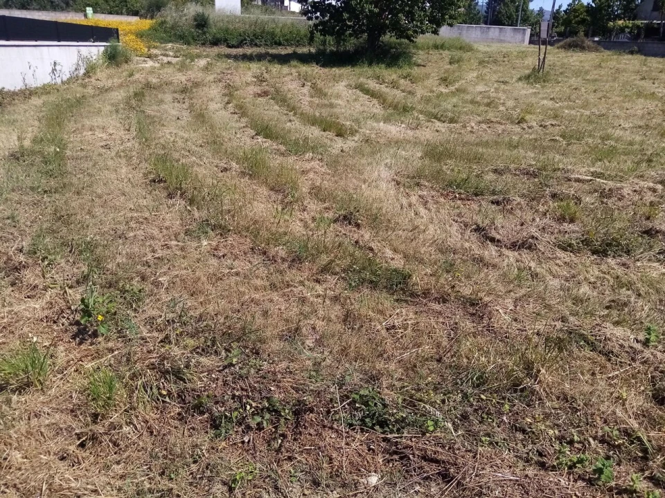 Terreno para Venda em Mazedo e Cortes Foto 2