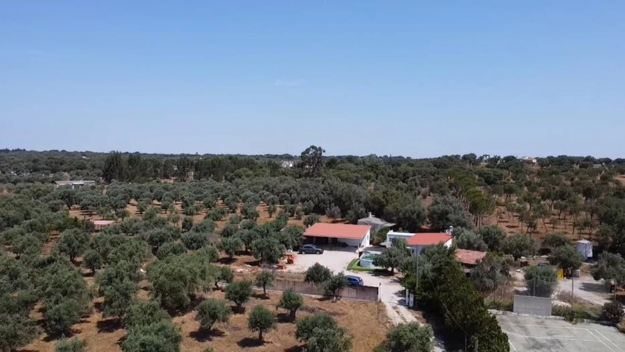 Quinta T2 para Venda em Grândola e Santa Margarida da Serra Foto 19