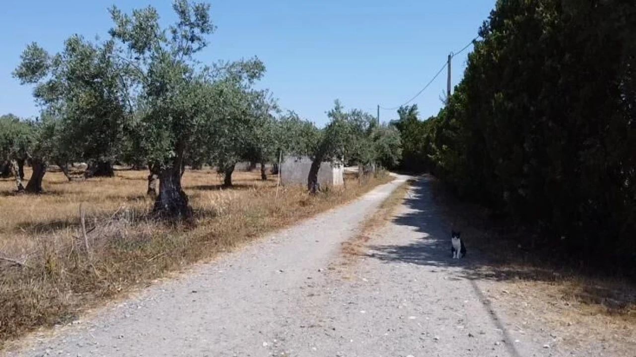 Quinta T2 para Venda em Grândola e Santa Margarida da Serra Foto 13